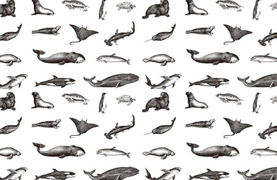Marine Life Sketch Monochrome Mural Wallpaper