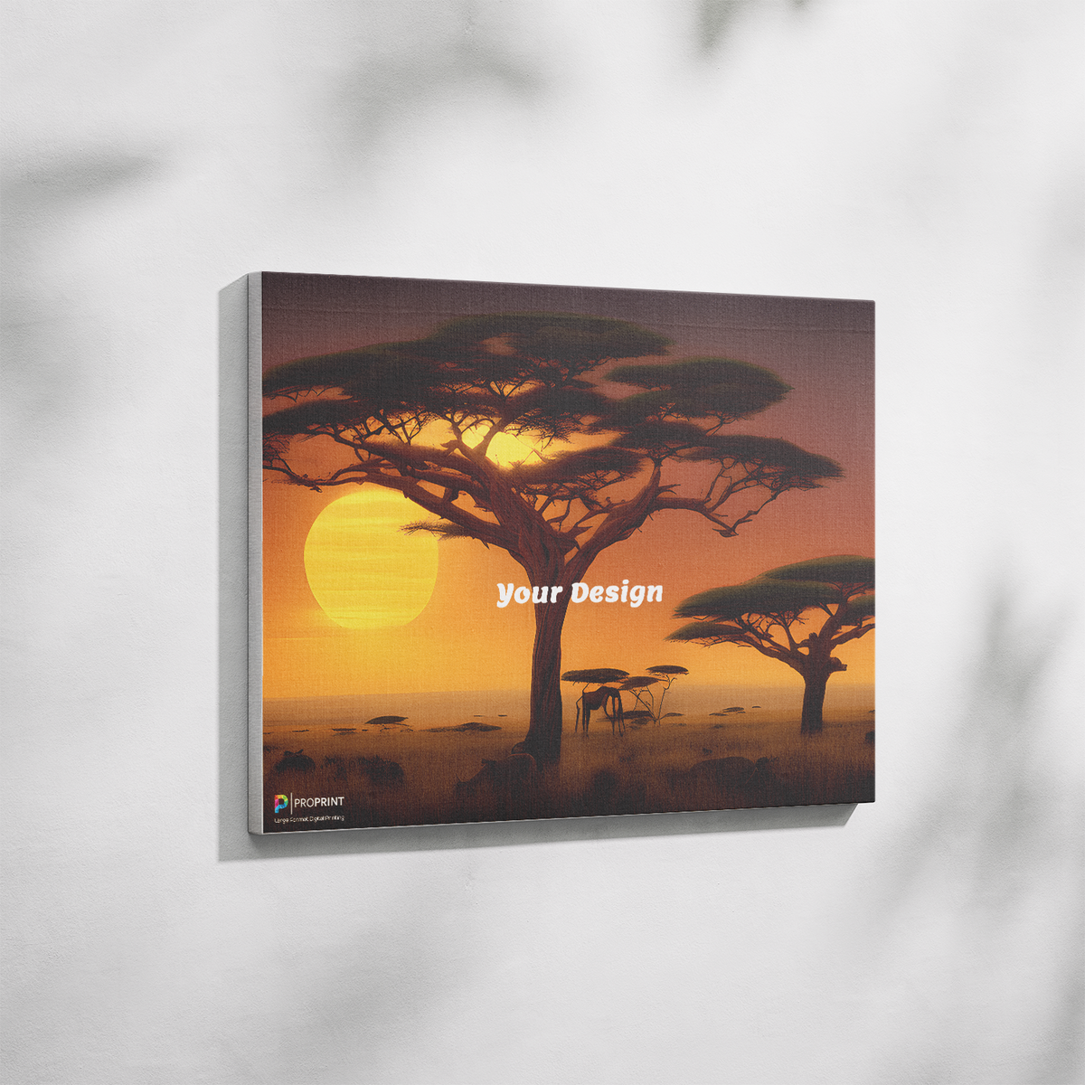 Framed Canvas UV Direct Print Top Surface Print