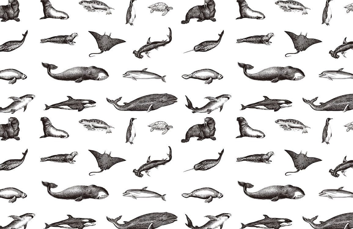 Marine Life Sketch Monochrome Mural Wallpaper